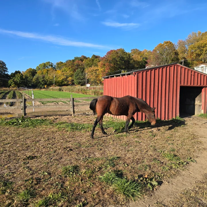Farms View Roadstand in Wayne - Ask AI | mindtrip