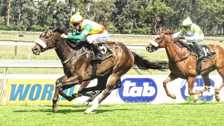 Vaal Racecourse in Vereeniging | What to Know Before You Go