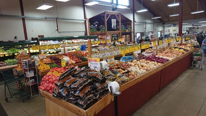 Randall's Farm in Ludlow | What to Know Before You Go