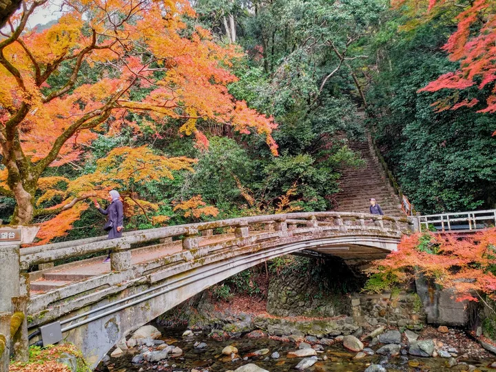 Minoh Park in Mino, Osaka Prefecture - Ask AI | mindtrip