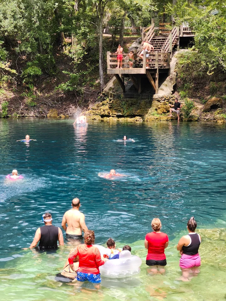 Royal Springs in Mayo, Florida | What to Know Before You Go