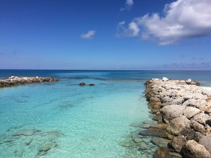 Salt Cay in Nassau & Paradise Island - Ask AI | mindtrip
