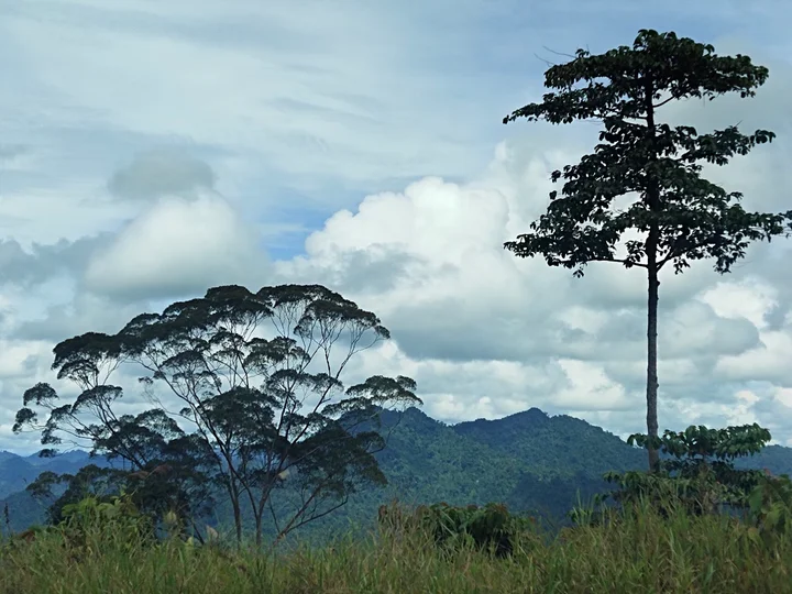 Segah Selaan Homestay in Sarawak | Ask Anything