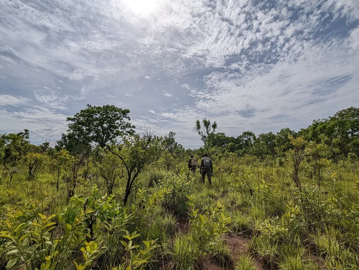 Digya National Park in Bono East Region | Ask Anything