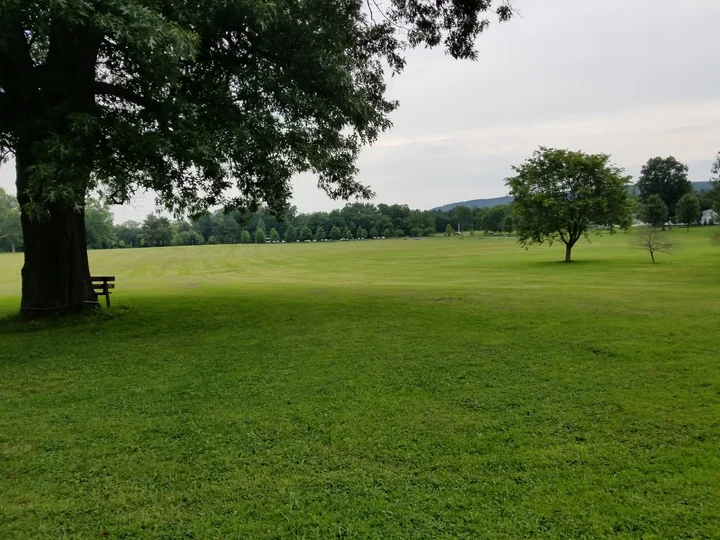 Proctor Park in Utica, New York - Ask AI | mindtrip