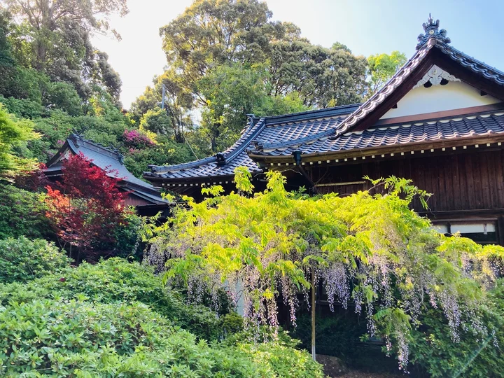 Fujiyama Shrine in Sasebo - Ask AI | mindtrip