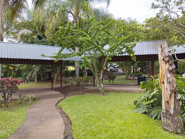 ST Costa Rica DMC - Swiss Travel - Ask AI | mindtrip