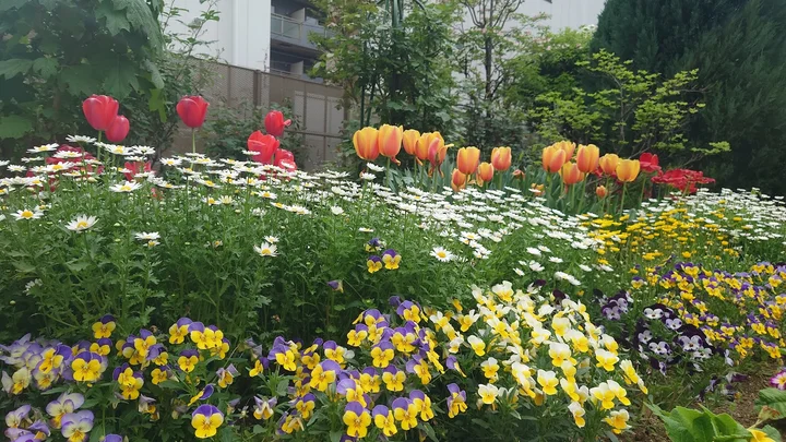 Rensei Park in Tokyo, Tokyo Prefecture - Ask AI | mindtrip