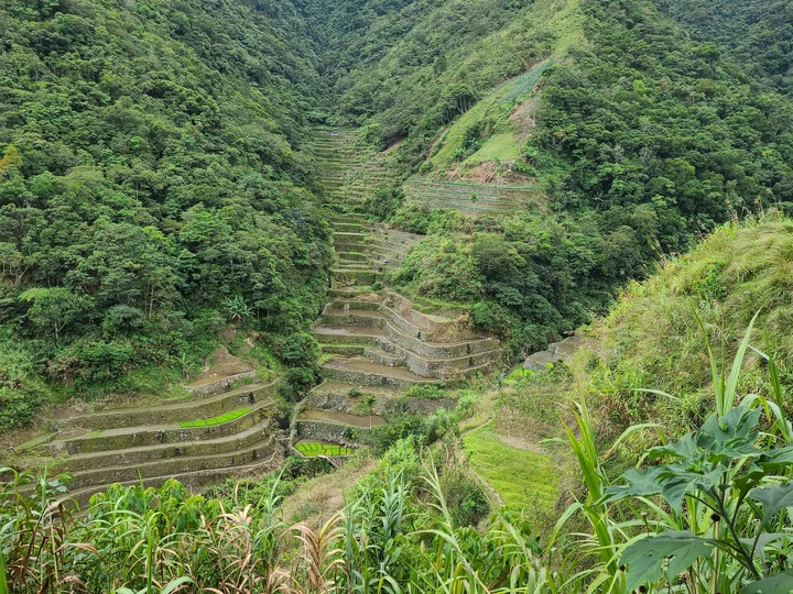 Batad Rice Terraces in Banaue | What to Know Before You Go