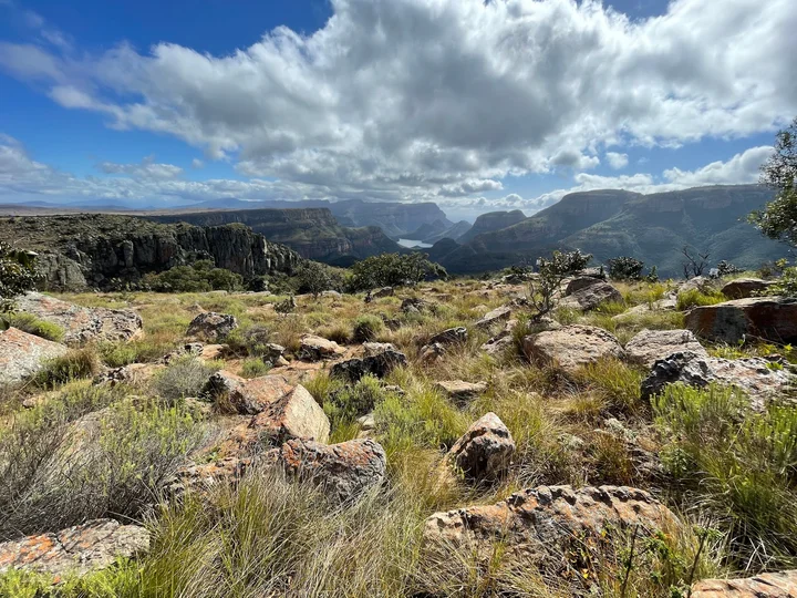 Lowveld View in Matibidi, Mpumalanga - Ask AI | mindtrip