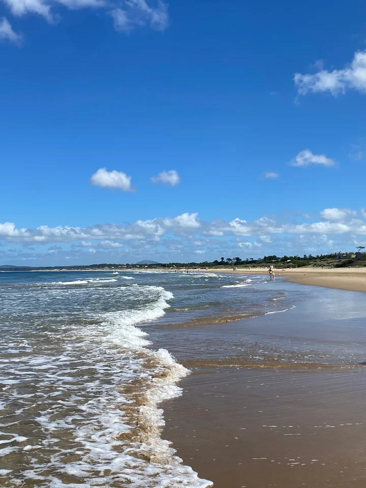 Playa Solanas in Punta Ballena | Ask Anything
