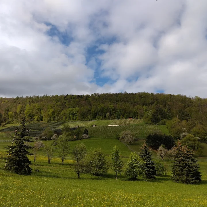 Fricktal in Frick, Aargau | Ask Anything