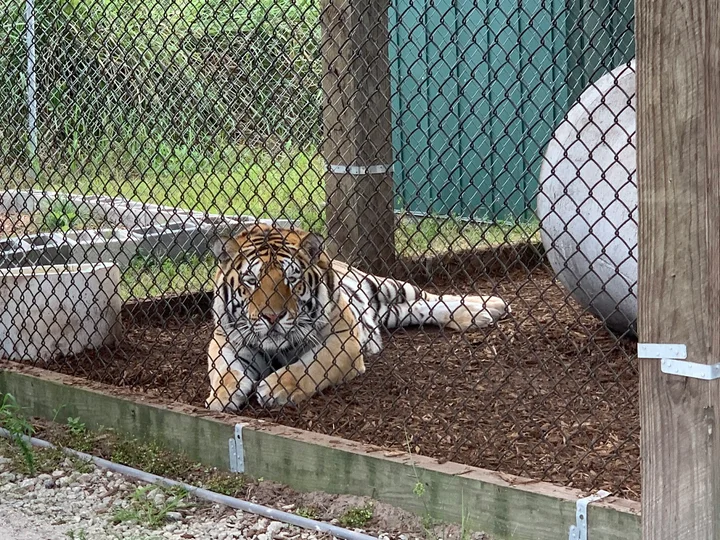Central Florida Animal Reserve - Ask AI | mindtrip
