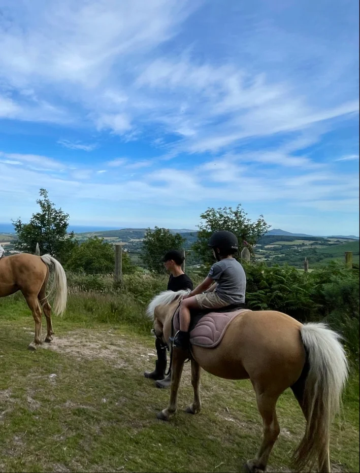 The Paddocks Riding Centre in Dublin - Ask AI | mindtrip