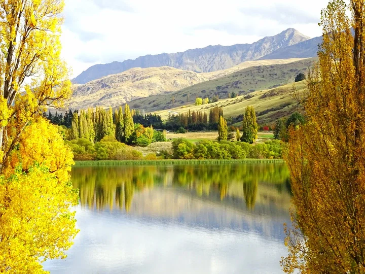 Lake Hayes Showground | What to Know Before You Go
