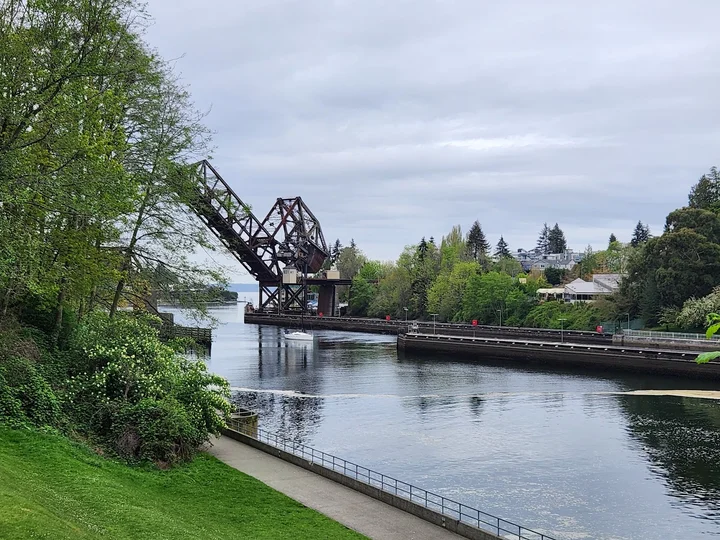Ballard Locks Fish Ladder in Seattle - Ask AI | mindtrip