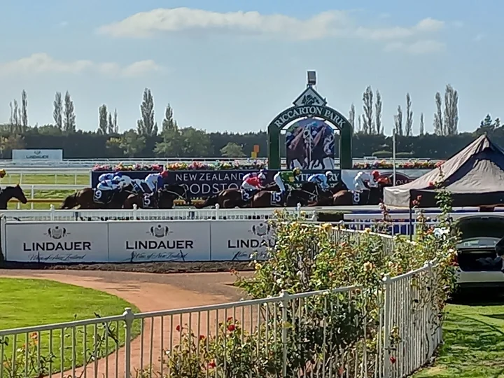 Riccarton Park Racecourse | What to Know Before You Go