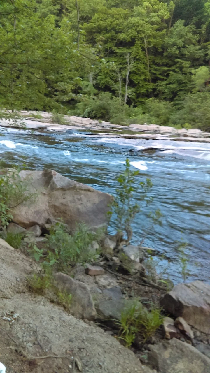 Stonycreek River in Johnstown - Ask AI | mindtrip