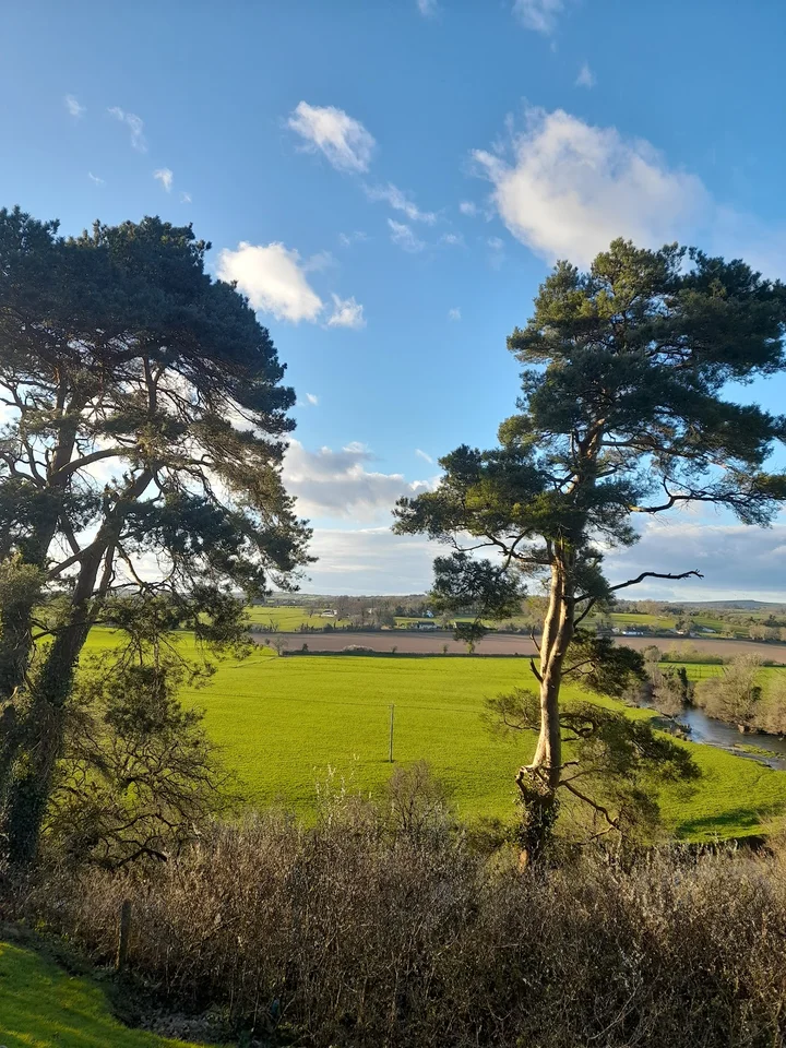 Conna Castle in Conna, County Cork - Ask AI | mindtrip