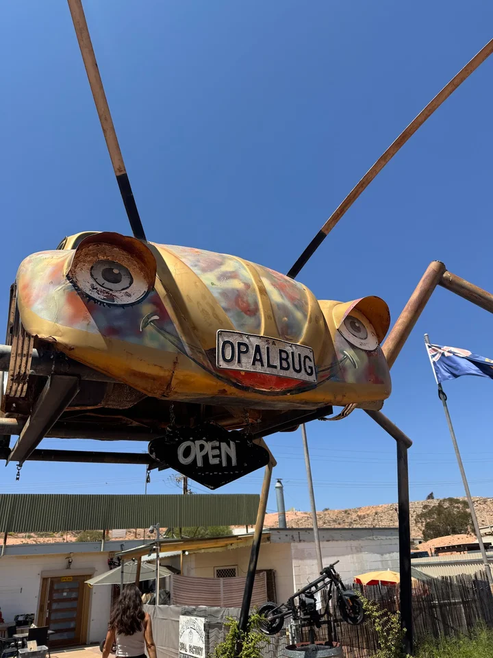 The Opal Bug in Coober Pedy - Ask AI | mindtrip