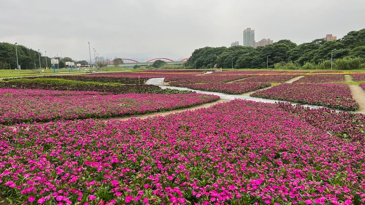 Guting Riverside Park in Zhongzheng District | Ask Anything