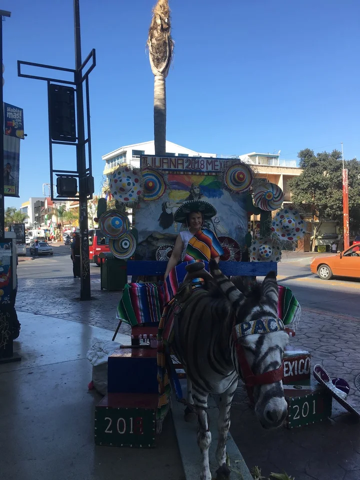 Border Tours in Tijuana, California | Ask Anything