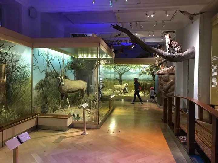 Finnish Museum of Natural History