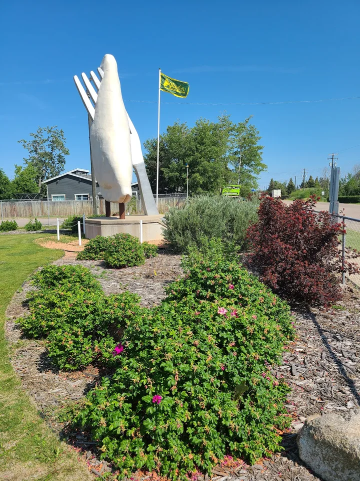 World's Largest Pyrogy in Glendon, Alberta | Ask Anything