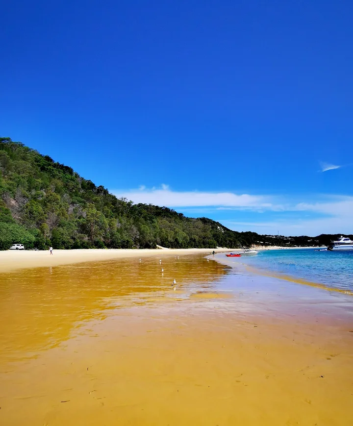 Moreton Island Desert | What to Know Before You Go