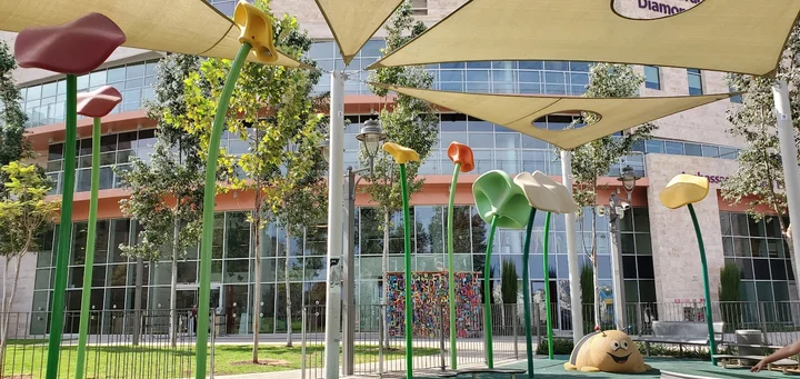 Shalva National Center | What to Know Before You Go