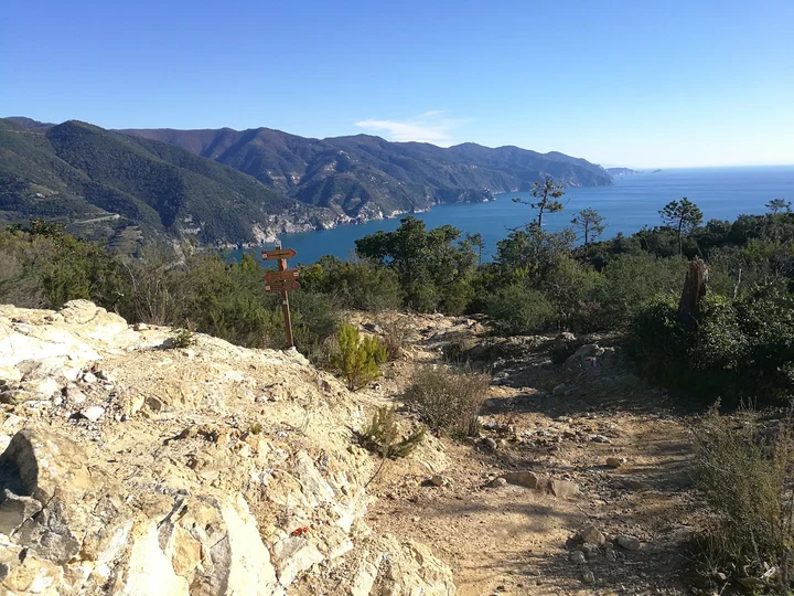 Sentiero SVA Levanto-Monterosso in Levanto | Ask Anything