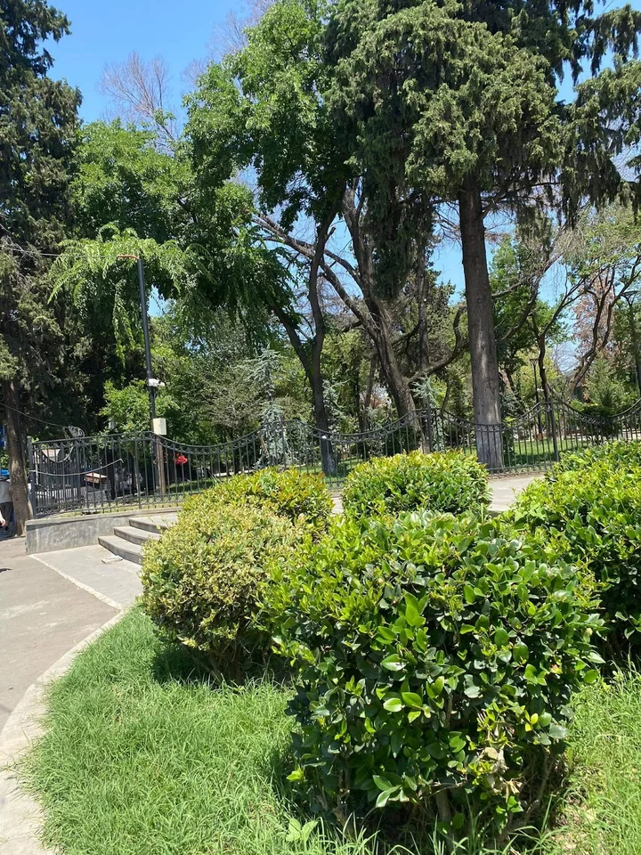Akaki Tsereteli Park in Tbilisi | What to Know Before You Go