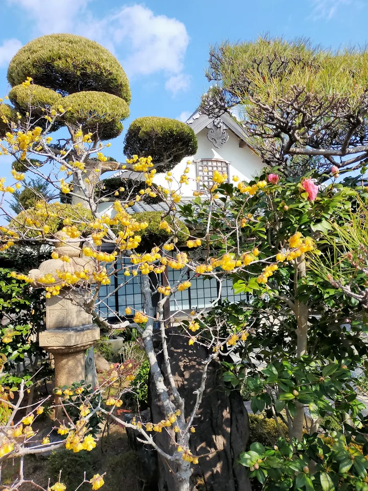 Hankayama Genko Temple in Kobe - Ask AI | mindtrip