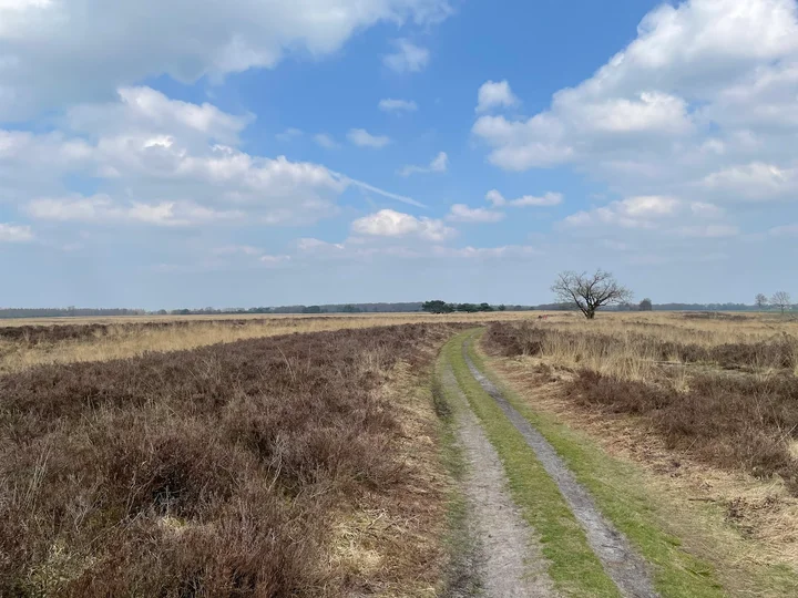 Mantingerveld in Mantinge, Drenthe - Ask AI | mindtrip