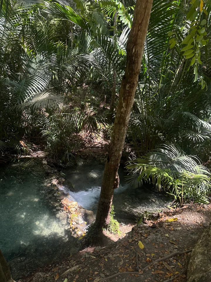 Bolo Bolo's Cold Spring in Lazi | Ask Anything