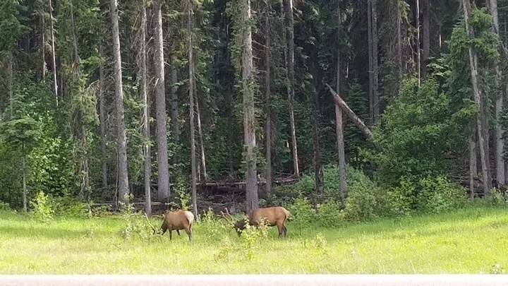 Yellowhead Pass National Historic Site
