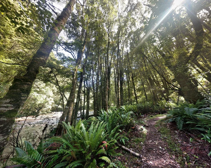Tawanui Campsite in Tawanui, Otago - Ask AI | mindtrip
