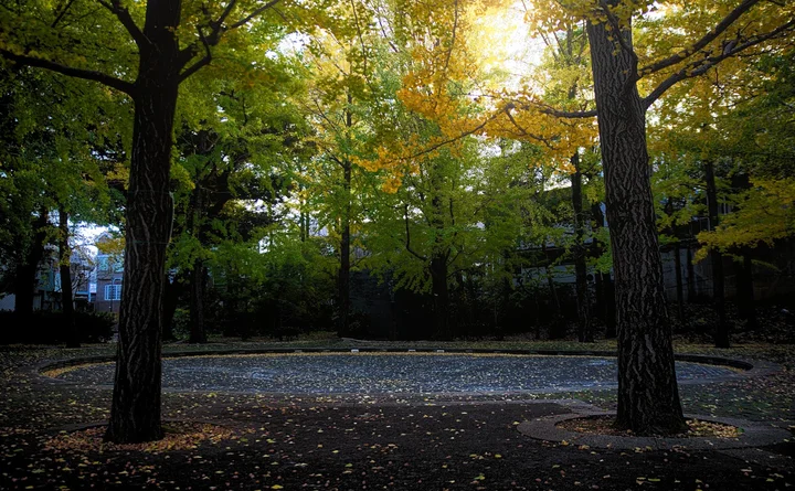 Seibi Park in Mitaka, Tokyo Prefecture | Ask Anything