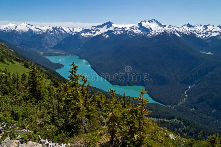 Whistler Mountain in Whistler | What to Know Before You Go