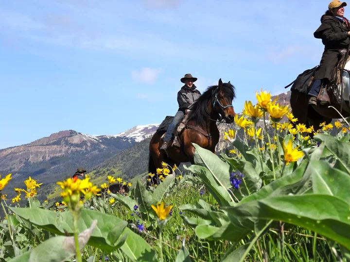 Chilcotin Holidays Guest Ranch | What to Know Before You Go