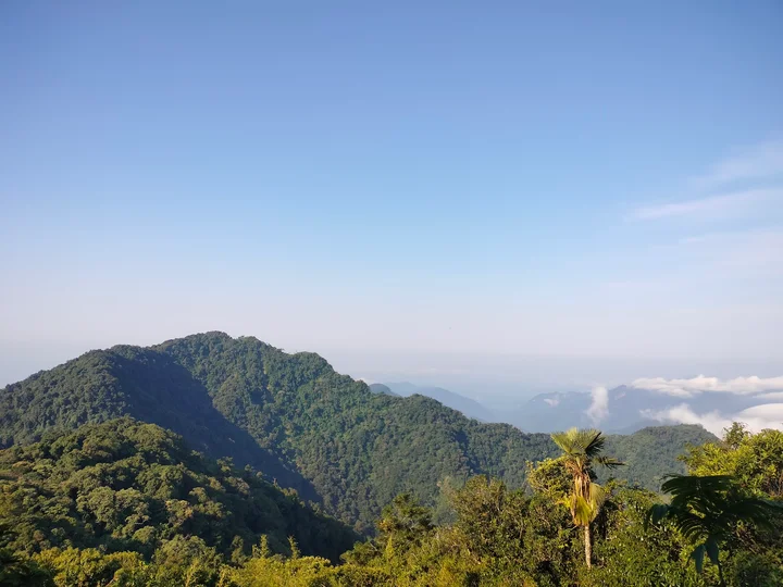 Barail Range in Assam - Ask AI | mindtrip