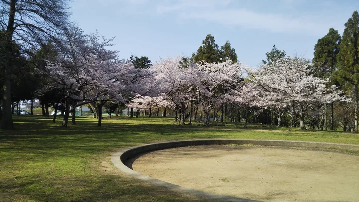 雌岡山梅林 in Kobe, Hyogo | Ask Anything