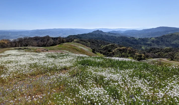 Sugarloaf Ridge State Park | What to Know Before You Go