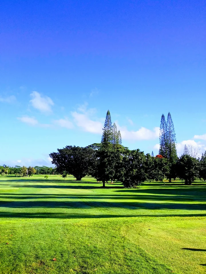 Leilehua Golf Course in Wahiawa, Hawaii - Ask AI | mindtrip