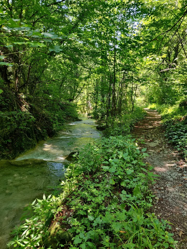 Cascada Şuşara in Sasca Montana | What to Know Before You Go