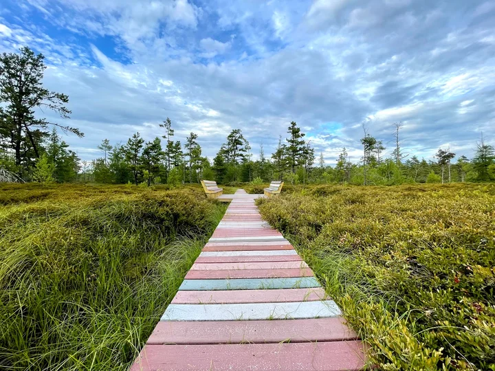 Saco Heath Preserve in Saco, Maine | Ask Anything