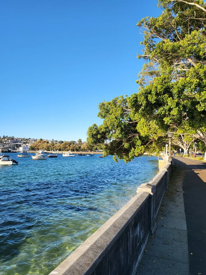 Rose Bay Marina in Rose Bay - Ask AI | mindtrip
