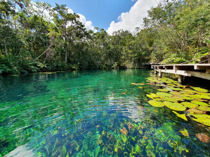 Tankah Park in Tulum | What to Know Before You Go