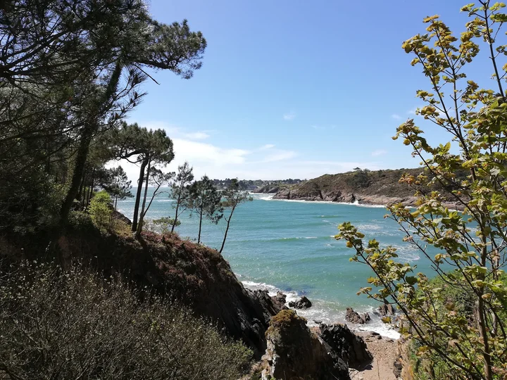 Bélon in Riec-sur-Belon, Brittany | Ask Anything