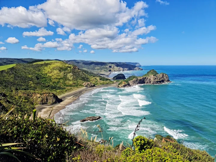 Waitakere Ranges Regional Park in Waiatarua | Ask Anything
